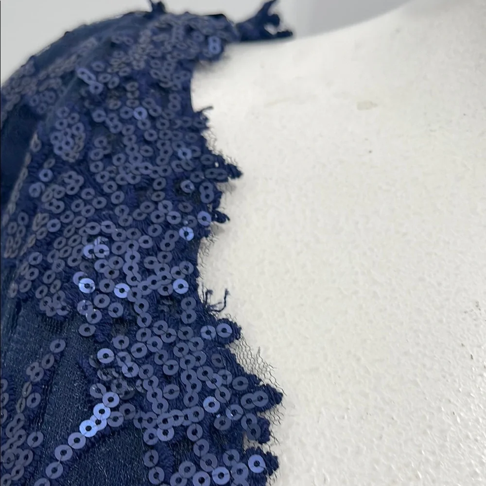 Tadashi Shoji Too Navy Embroidered Lace Evening Gown Tulle Skirt Size 16 Q NWT - Picture 10 of 16